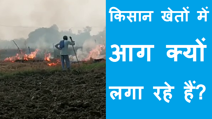 #parali #Paira किसान अपने खेतों में आग क्यों लगा रहे हैं?